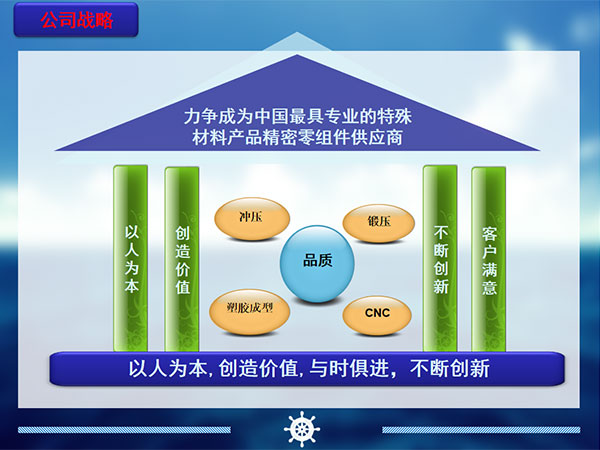 公司战略