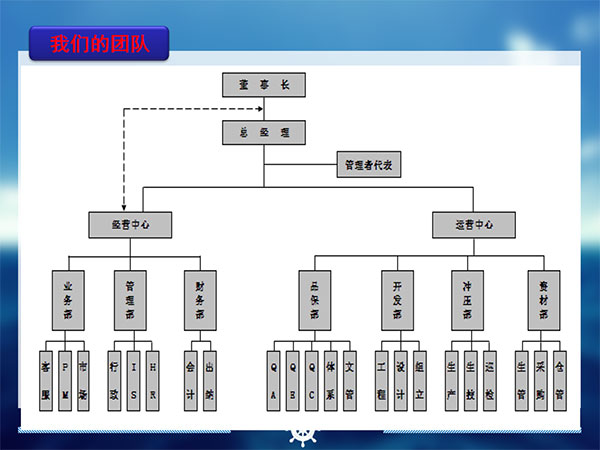 公司团队